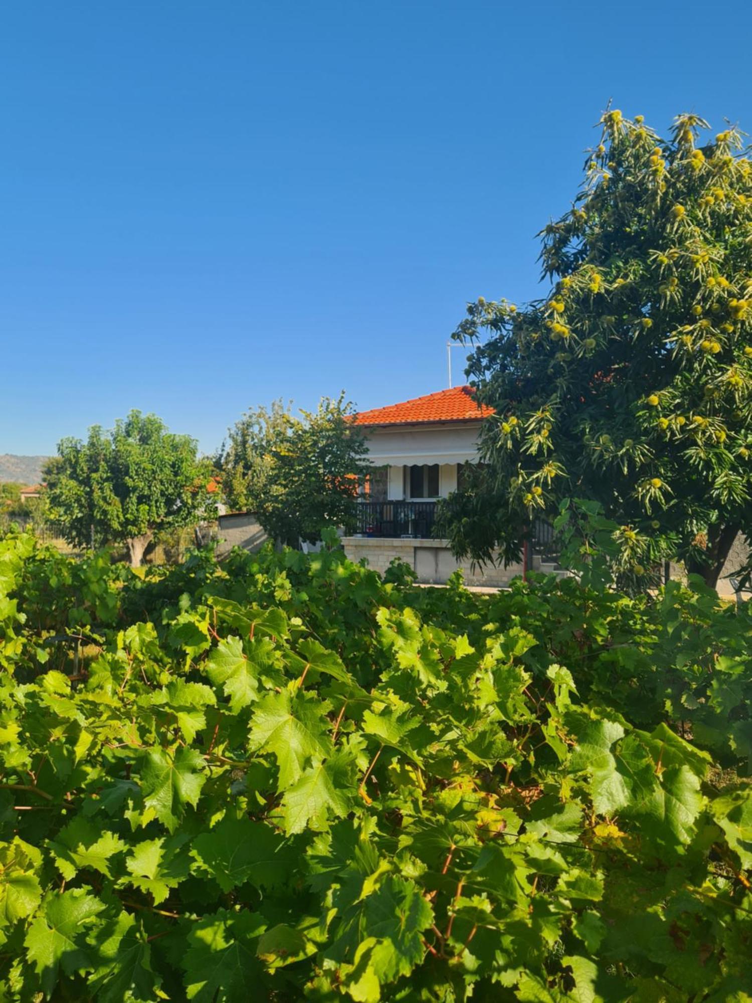 Villa Anna Mitropolis  Экстерьер фото